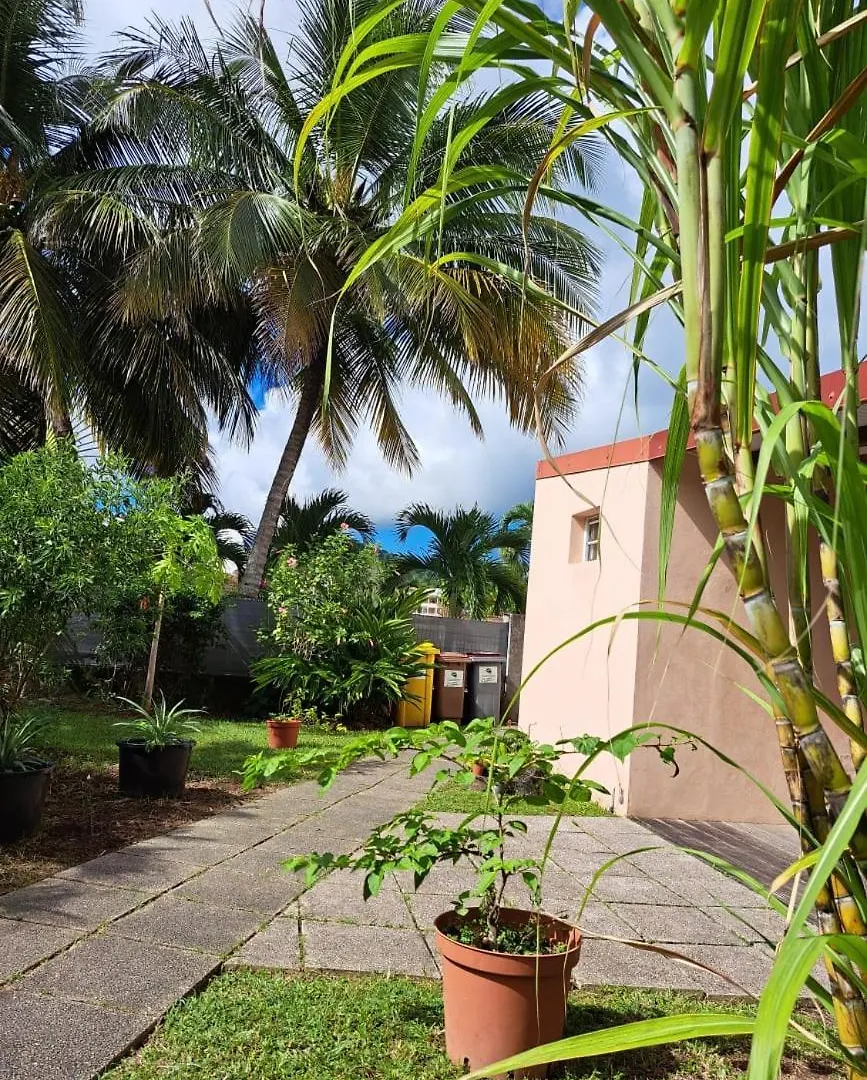 Studio Perle de Zanzibar Trois-Ilets Les Trois-Ilets Appartement
